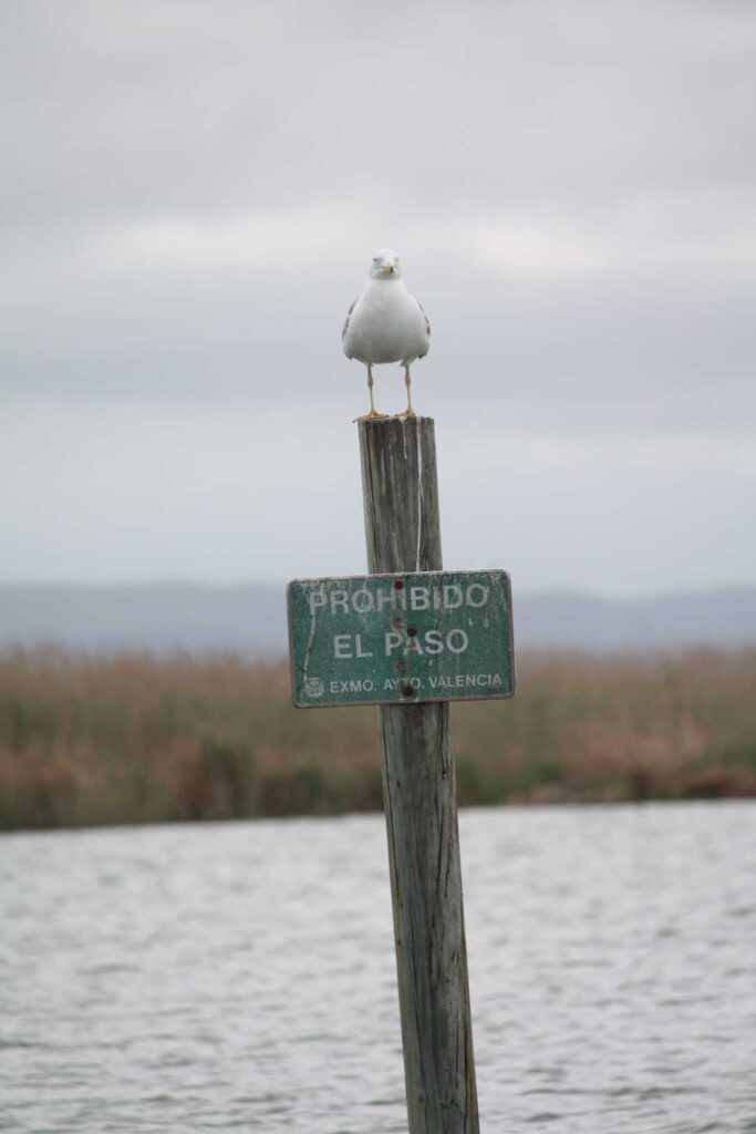 Señalización de El Palmar en la Albufera de Valencia
